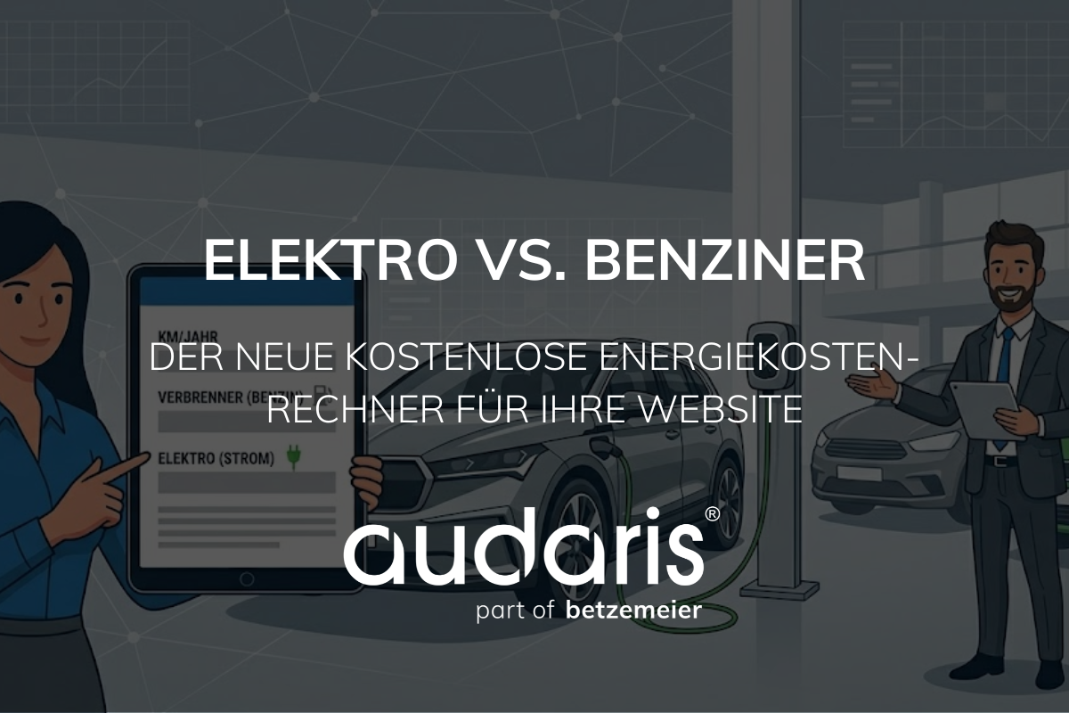 Benziner Vs Elektro Rechner