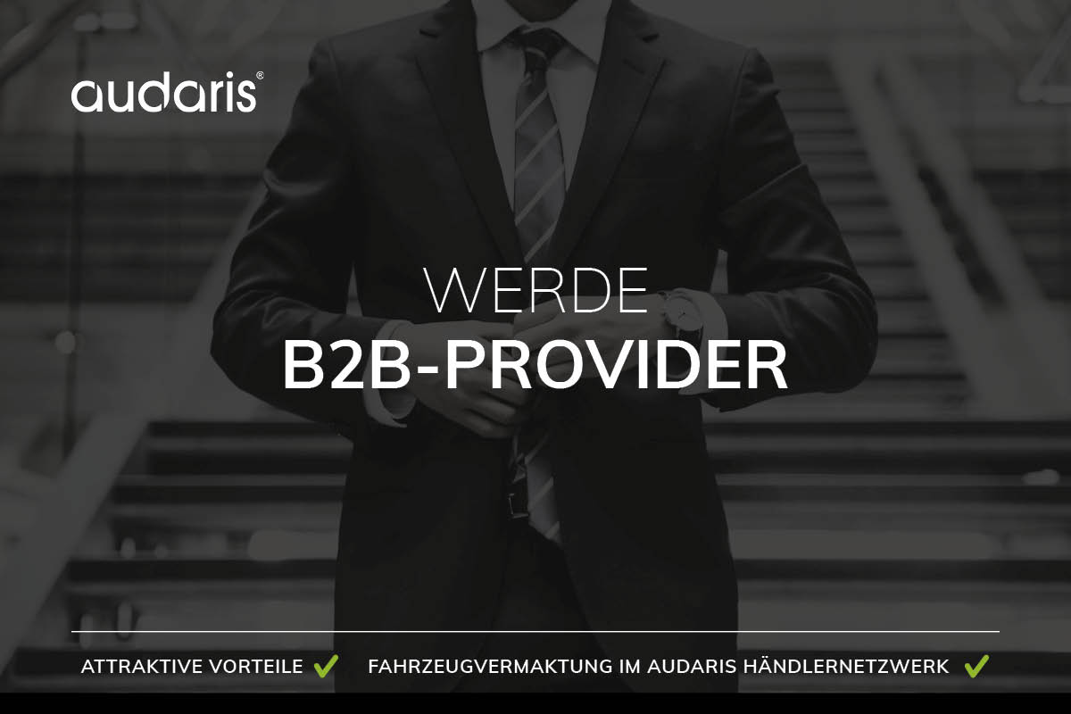 B2B-Provider