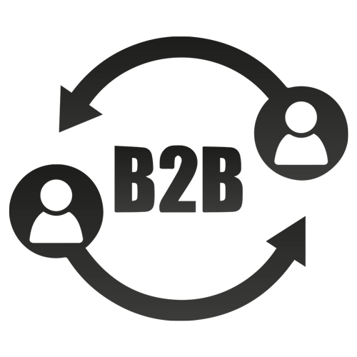 b2b Provider