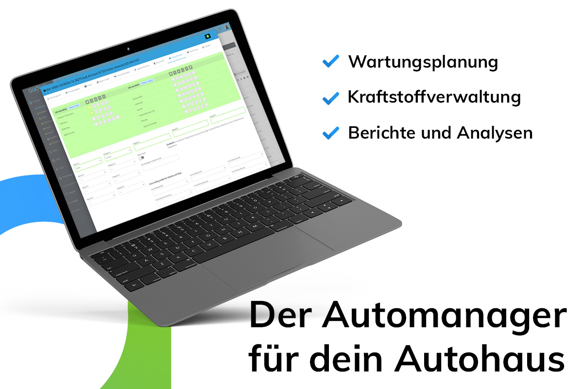 auto-manager von audaris