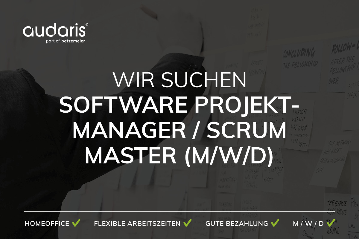 Software Projektmanager / Scrum Master (m/w/d)